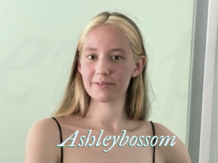 Ashleybossom