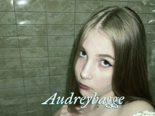 Audreybagge