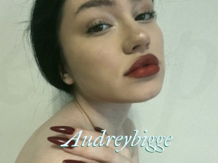 Audreybigge