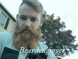 Beardedginger