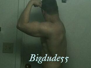 Bigdude55