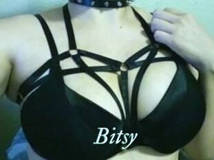 Bitsy_