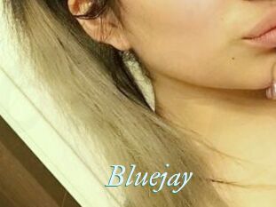 Blue_jay