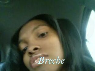 Breche