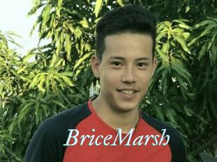 BriceMarsh