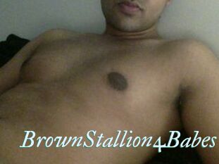 BrownStallion4Babes