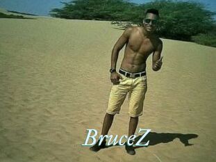 BruceZ