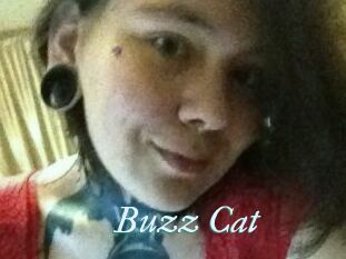 Buzz_Cat