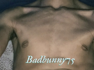 Badbunny75