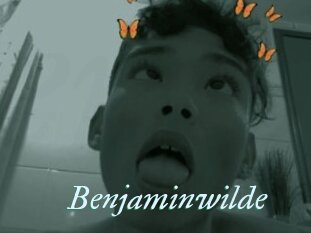 Benjaminwilde