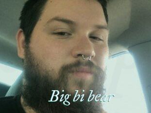 Big_bi_bear