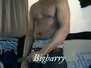 Bigbarry