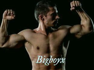 Bigboyx