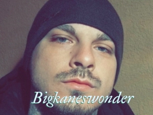 Bigkaneswonder