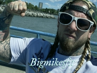 Bigmikesfit