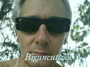 Biguncutcock