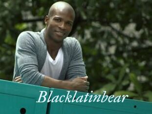 Blacklatinbear