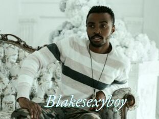 Blakesexyboy