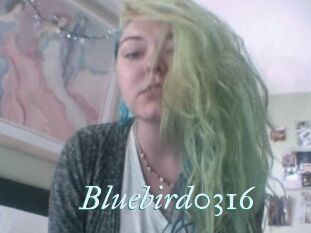 Bluebird0316