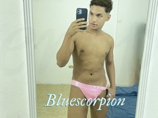 Bluescorpion