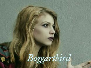 Boggartbird