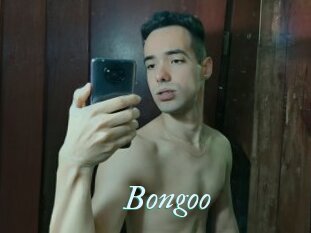 Bongoo