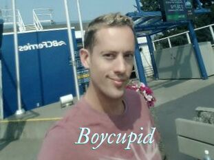 Boycupid