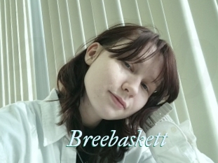 Breebaskett