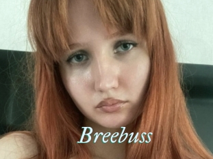 Breebuss