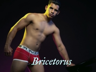 Bricetorus