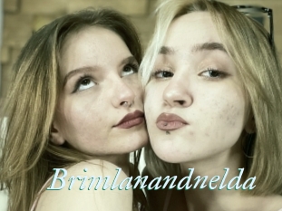 Brimlanandnelda