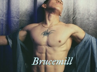 Brucemill