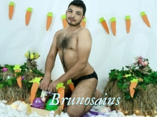 Brunosains