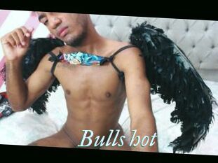 Bulls_hot