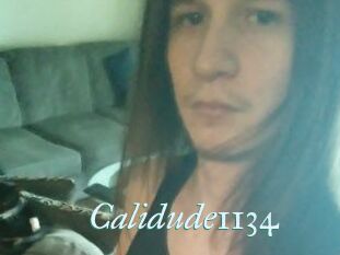 Calidude1134