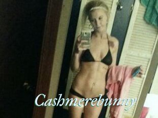 Cashmerebunny