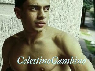 CelestinoGambino