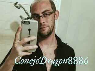 ConejoDragon8886