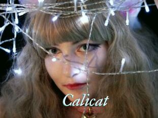 Calicat