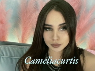 Cameliacurtis