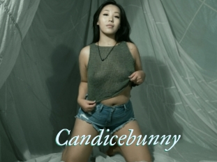 Candicebunny