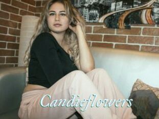 candieflowers Erotik Pr