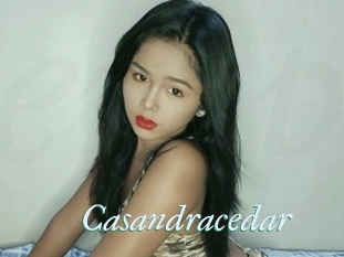 Casandracedar