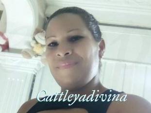 Cattleyadivina