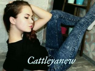 Cattleyanew