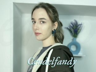 Cendelfandy