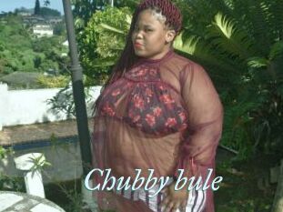 Chubby_bule