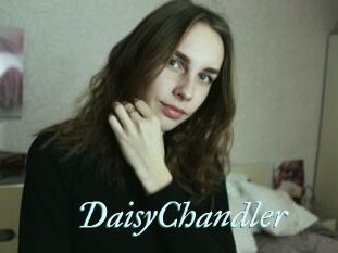 Daisy_Chandler