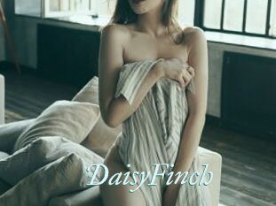 DaisyFinch