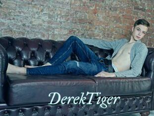 DerekTiger